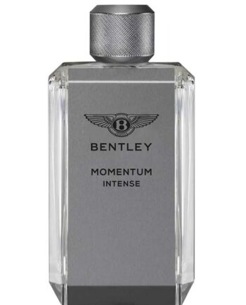 Momentum Intense for Men, edP 100ml by Bentley